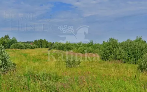 Участок 250 сот.