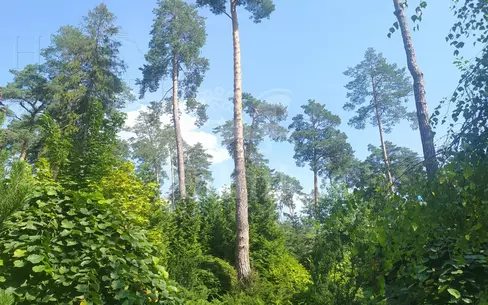 Участок 30 сот. в охраняемом поселке