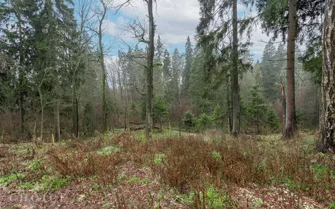 2-этажный коттедж 1 050 м² без отделки