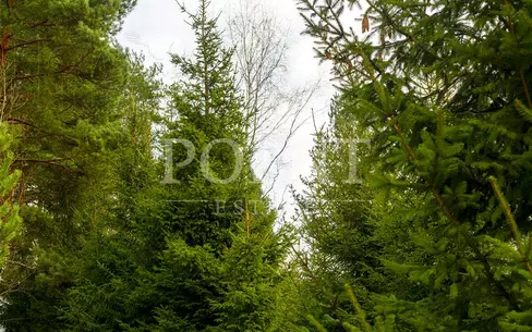 Участок 23.38 сот. в охраняемом поселке