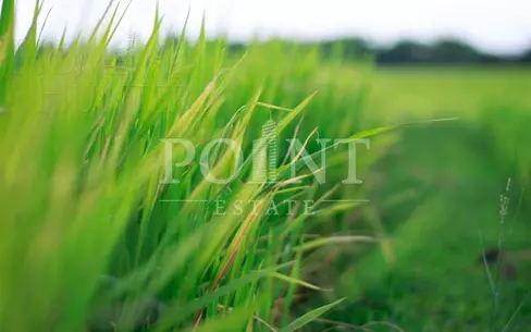 Участок 75.39 сот. в охраняемом поселке