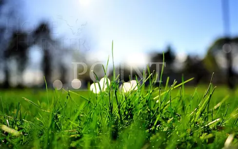 Участок 75.39 сот. в охраняемом поселке