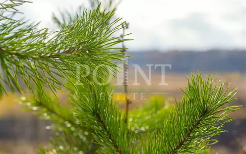 Участок 23.38 сот. в охраняемом поселке