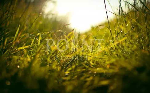 Участок 75.39 сот. в охраняемом поселке