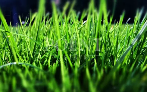 Участок 580 сот. в охраняемом поселке