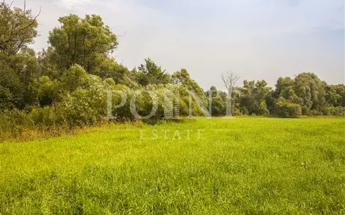 Участок 433 сот. в охраняемом поселке