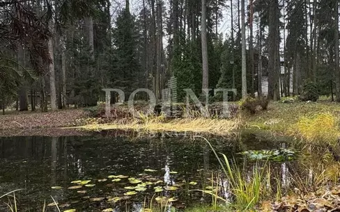 Участок 139 сот.