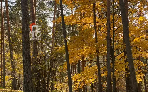 Участок 96.6 сот. в охраняемом поселке