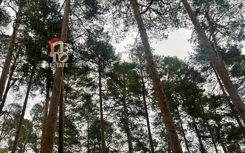 Участок 96.6 сот. в охраняемом поселке