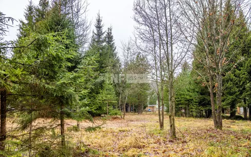 Участок 13 сот.