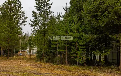 Участок 13 сот.