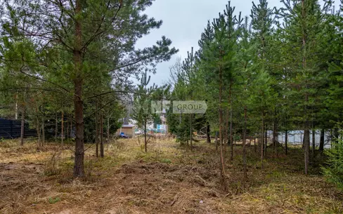 Участок 26 сот.