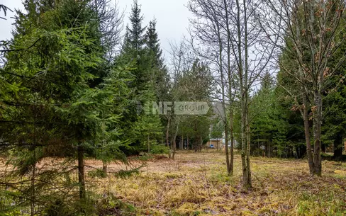 Участок 13 сот.