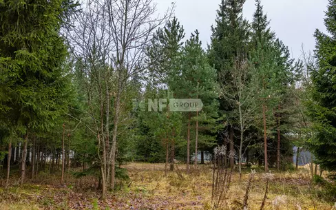 Участок 26 сот.