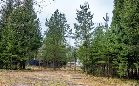 Участок 26 сот.