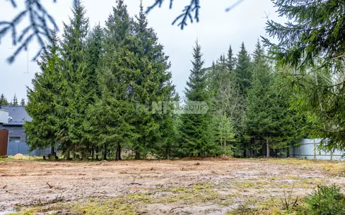 Участок 13 сот.