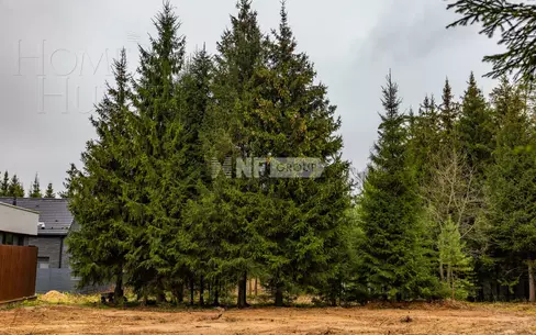 Участок 13 сот.