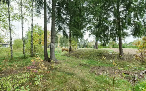 Участок 251.81 сот. в охраняемом поселке