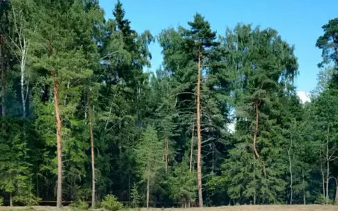 Участок 17.73 сот. в охраняемом поселке