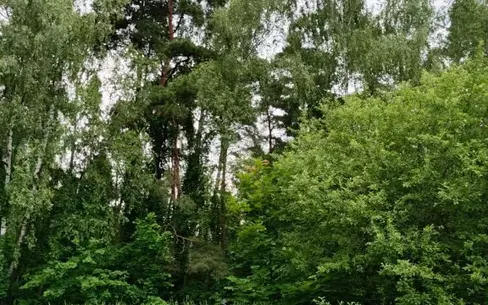 Участок 17.73 сот. в охраняемом поселке