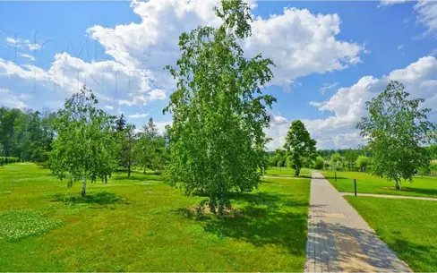 Участок 16 сот. в охраняемом поселке