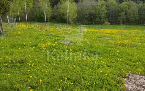 Участок 84.83 сот. в охраняемом поселке