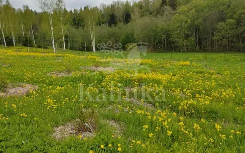 Участок 84.83 сот. в охраняемом поселке