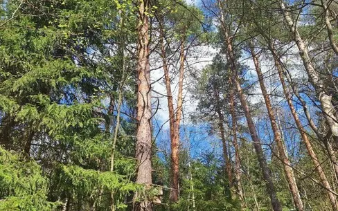 Участок 16.02 сот. в охраняемом поселке