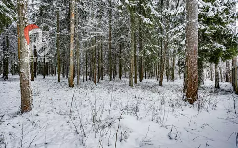 Участок 50 сот. в охраняемом поселке