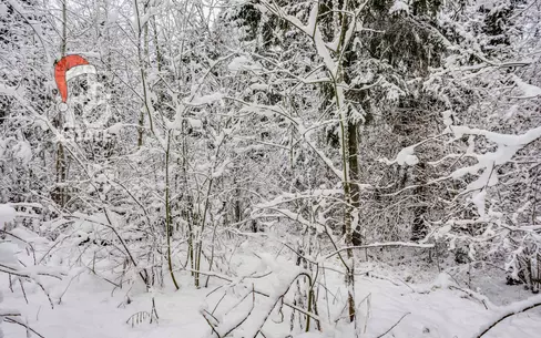 Участок 50 сот. в охраняемом поселке