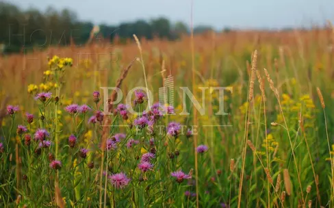 Участок 29.5 сот.