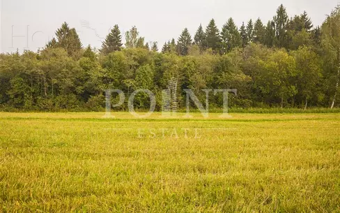 Участок 28 сот.