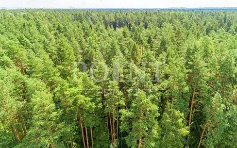 Участок 101 сот.