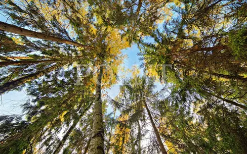 Участок 101 сот.