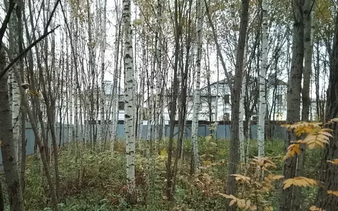 Участок 25 сот.