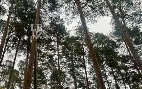 Участок 96.6 сот. в охраняемом поселке