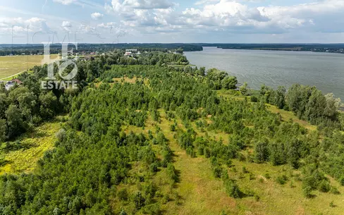 Участок 71.53 сот.