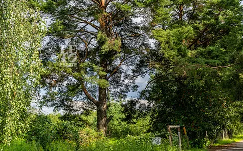 Участок 65.37 сот.