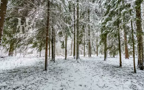 Участок 50 сот. в охраняемом поселке