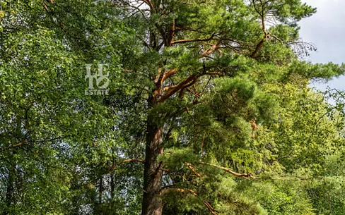 Участок 88.46 сот.