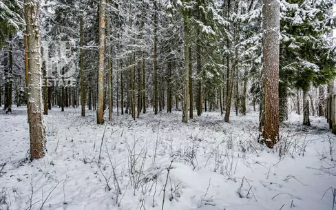 Участок 50 сот. в охраняемом поселке