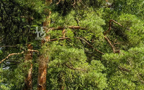 Участок 60.86 сот.