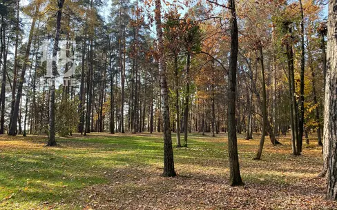 Участок 96.6 сот. в охраняемом поселке