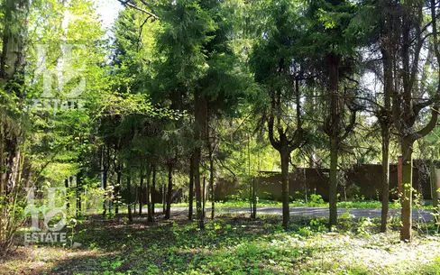 Участок 70.38 сот. в охраняемом поселке