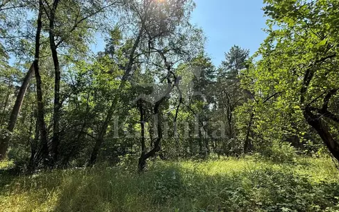 Участок 96 сот. в охраняемом поселке