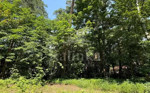 Участок 96 сот. в охраняемом поселке