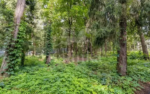 Участок 15 сот.