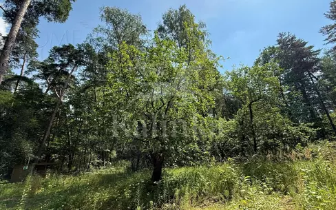 Участок 96 сот. в охраняемом поселке