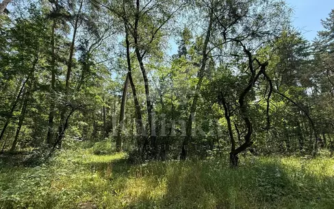 Участок 96 сот. в охраняемом поселке