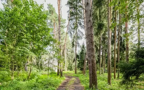 Участок 15 сот.